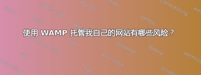 使用 WAMP 托管我自己的网站有哪些风险？