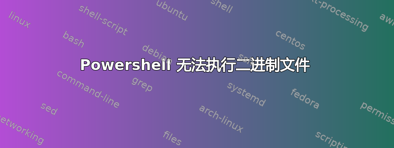 Powershell 无法执行二进制文件