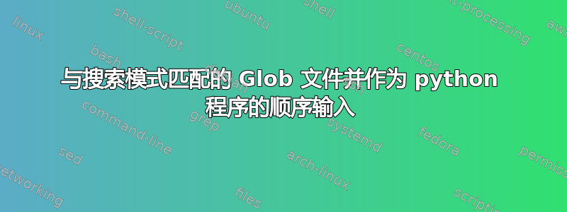 与搜索模式匹配的 Glob 文件并作为 python 程序的顺序输入