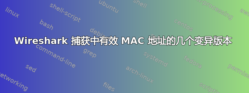 Wireshark 捕获中有效 MAC 地址的几个变异版本