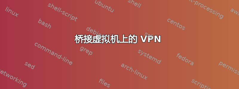 桥接虚拟机上的 VPN