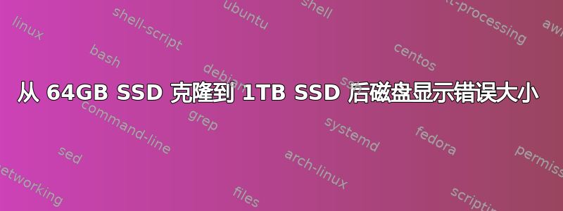 从 64GB SSD 克隆到 1TB SSD 后磁盘显示错误大小