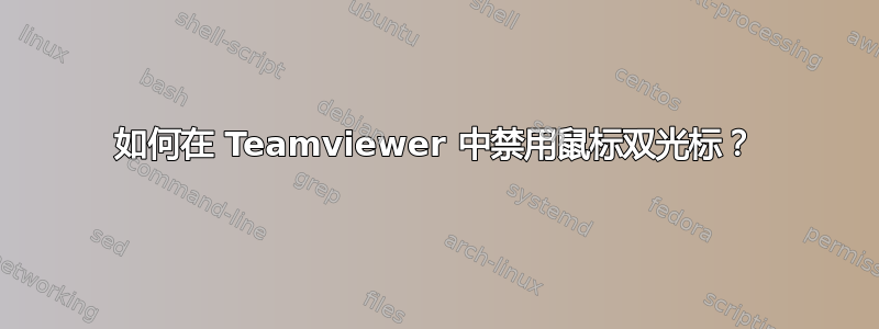 如何在 Teamviewer 中禁用鼠标双光标？