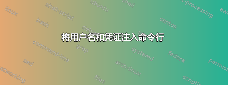 将用户名和凭证注入命令行