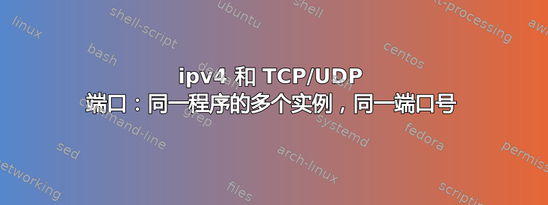 ipv4 和 TCP/UDP 端口：同一程序的多个实例，同一端口号