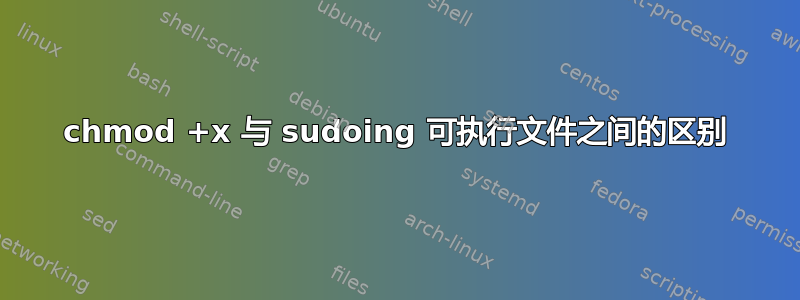 chmod +x 与 sudoing 可执行文件之间的区别