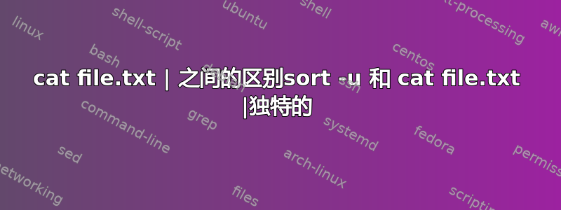 cat file.txt | 之间的区别sort -u 和 cat file.txt |独特的