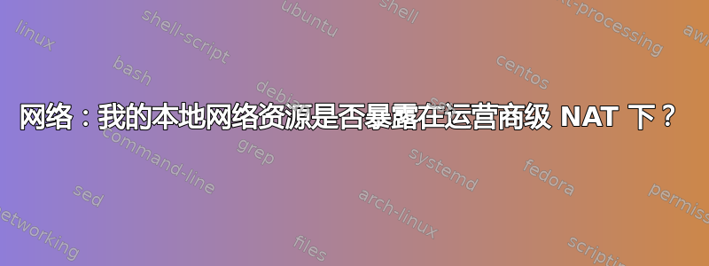 网络：我的本地网络资源是否暴露在运营商级 NAT 下？