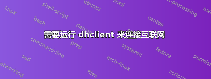 需要运行 dhclient 来连接互联网