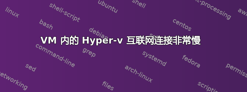 VM 内的 Hyper-v 互联网连接非常慢 