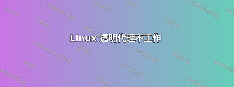 Linux 透明代理不工作