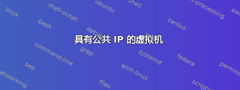 具有公共 IP 的虚拟机