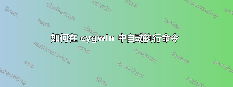 如何在 cygwin 中自动执行命令