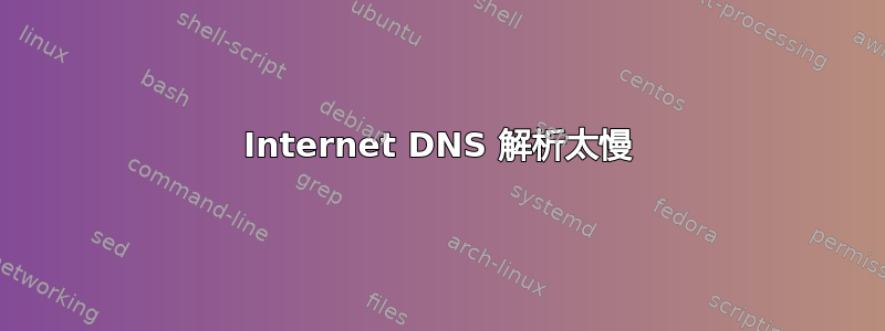 Internet DNS 解析太慢