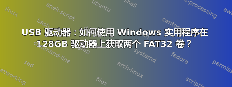 USB 驱动器：如何使用 Windows 实用程序在 128GB 驱动器上获取两个 FAT32 卷？