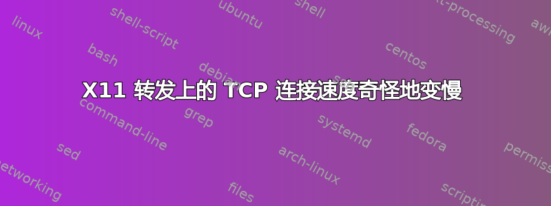 X11 转发上的 TCP 连接速度奇怪地变慢