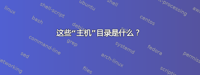 这些“主机”目录是什么？