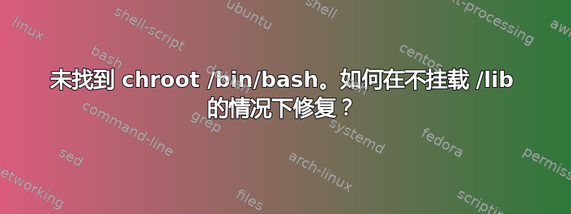 未找到 chroot /bin/bash。如何在不挂载 /lib 的情况下修复？