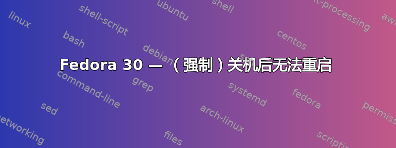 Fedora 30 — （强制）关机后无法重启