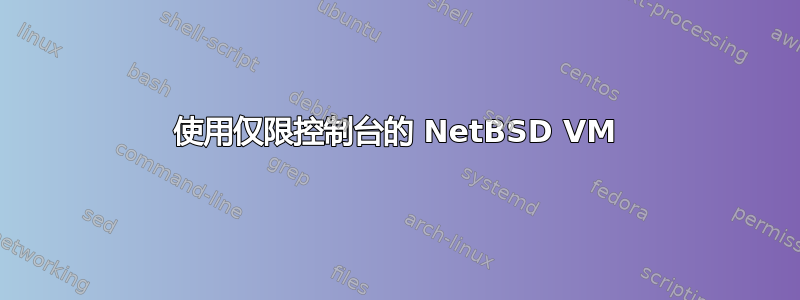 使用仅限控制台的 NetBSD VM