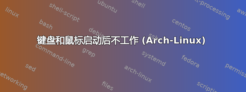 键盘和鼠标启动后不工作 (Arch-Linux)