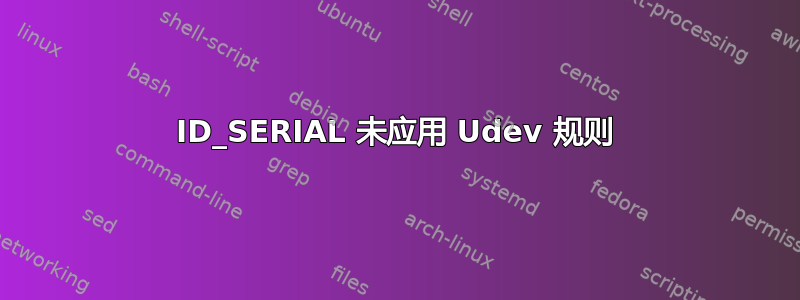ID_SERIAL 未应用 Udev 规则