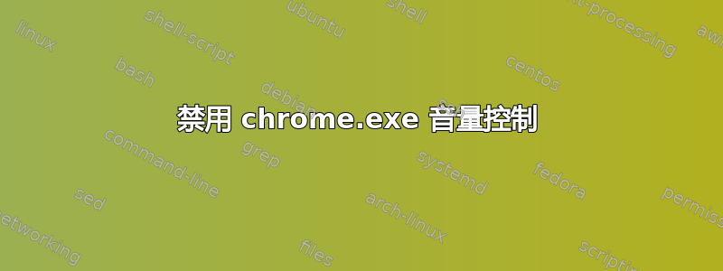 禁用 chrome.exe 音量控制