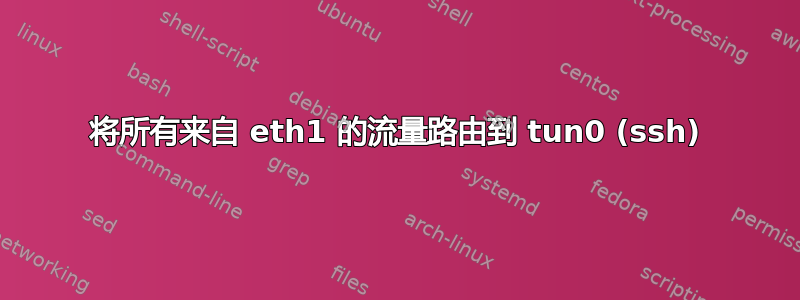 将所有来自 eth1 的流量路由到 tun0 (ssh)