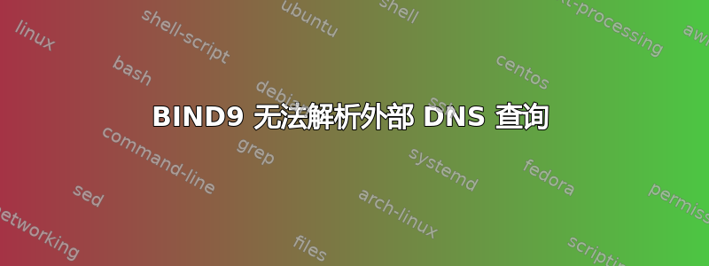 BIND9 无法解析外部 DNS 查询