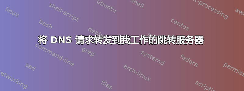 将 DNS 请求转发到我工作的跳转服务器