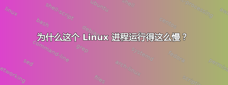 为什么这个 Linux 进程运行得这么慢？