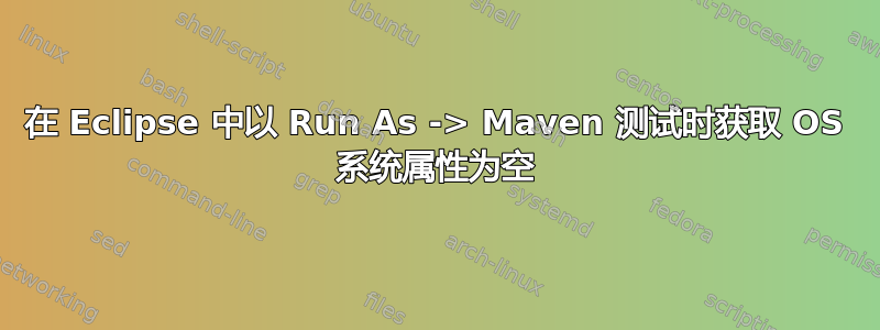 在 Eclipse 中以 Run As -> Maven 测试时获取 OS 系统属性为空