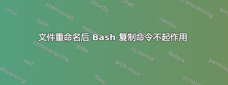 文件重命名后 Bash 复制命令不起作用