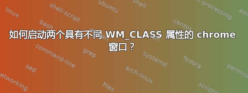 如何启动两个具有不同 WM_CLASS 属性的 chrome 窗口？