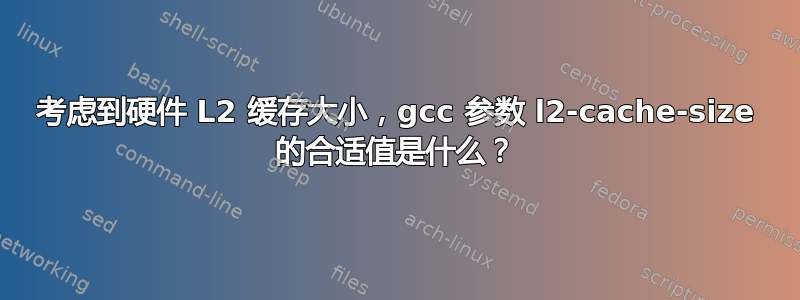 考虑到硬件 L2 缓存大小，gcc 参数 l2-cache-size 的合适值是什么？