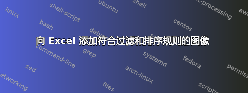 向 Excel 添加符合过滤和排序规则的图像