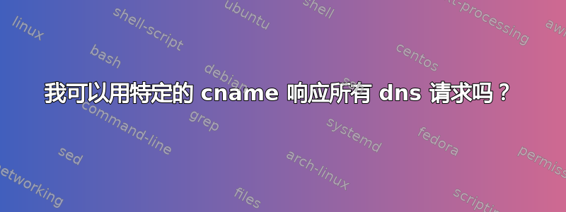 我可以用特定的 cname 响应所有 dns 请求吗？