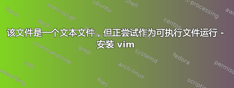 该文件是一个文本文件，但正尝试作为可执行文件运行 - 安装 vim