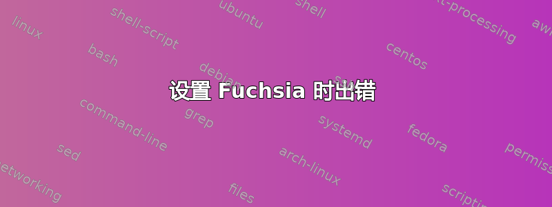 设置 Fuchsia 时出错