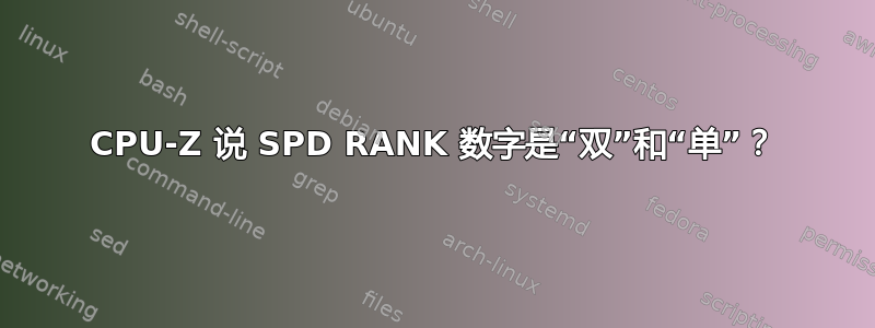 CPU-Z 说 SPD RANK 数字是“双”和“单”？