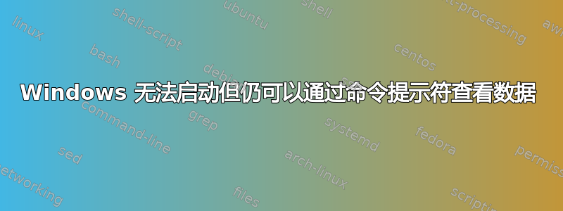 Windows 无法启动但仍可以通过命令提示符查看数据