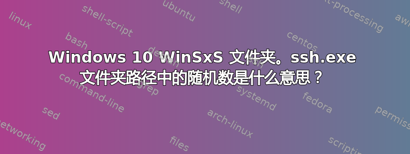 Windows 10 WinSxS 文件夹。ssh.exe 文件夹路径中的随机数是什么意思？