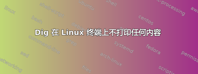 Dig 在 Linux 终端上不打印任何内容