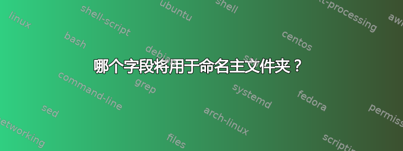 哪个字段将用于命名主文件夹？