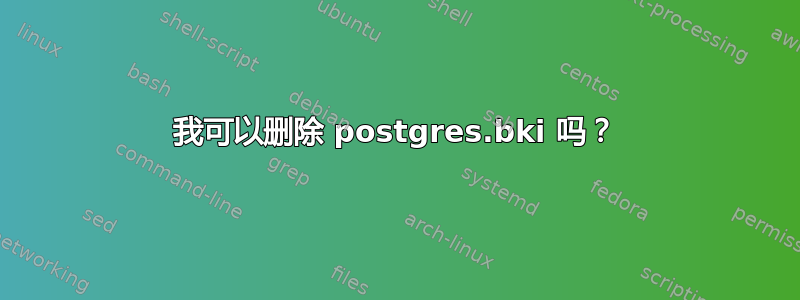 我可以删除 postgres.bki 吗？