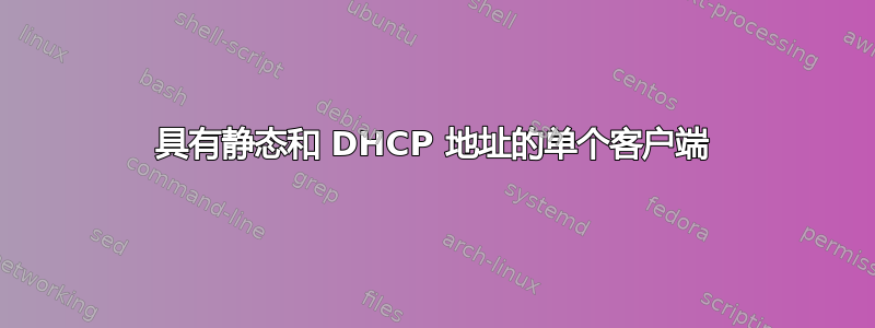 具有静态和 DHCP 地址的单个客户端