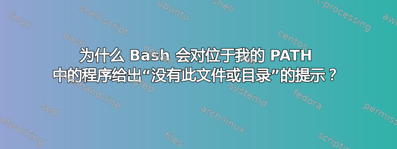 为什么 Bash 会对位于我的 PATH 中的程序给出“没有此文件或目录”的提示？