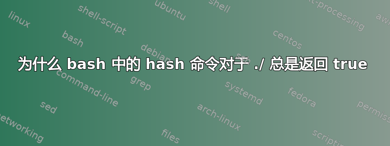 为什么 bash 中的 hash 命令对于 ./ 总是返回 true