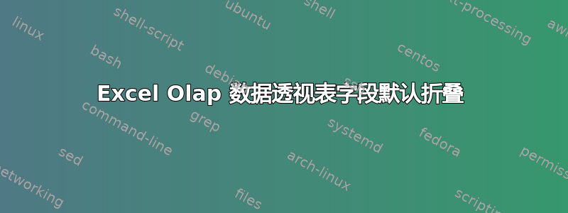 Excel Olap 数据透视表字段默认折叠