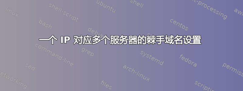 一个 IP 对应多个服务器的棘手域名设置